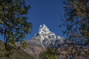 Machapuchare, Himalaya, fish tail