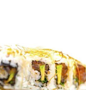 Macro closeup of fresh sushi choice combination assortment selection
