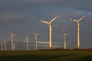 Category Historic EN Prints: Magdeburger Borde, wind turbines
Magdeburger B?rde