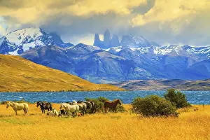 Magic light of sunset. Rocks Torres del Paine visible among the clouds