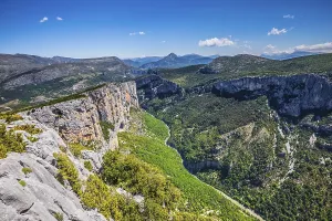 Magnificent May in the wooded mountains