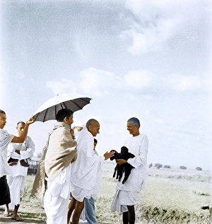 Mahatma Gandhi fondling newborn goat, Wardha, Maharashtra, India, Asia, September 1938, Asia
