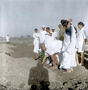 Mahatma Gandhi planting tree with Abha Gandhi, Wardha, Maharashtra, India, Asia, 1941, Asia