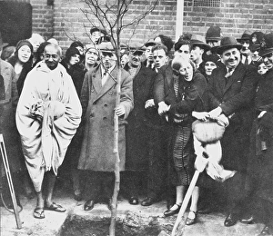 Mahatma Gandhi planting tree outside Kingsley Hall, East End, London, England, December 3, 1931 World War II replanted Lady Attenborough 1984
