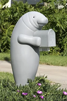 Mailbox in the shape of a Manatee