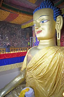 Maitreya Buddha, Shey Palace, Royal Palace