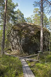Majakivi boulder, Juminda Peninsula