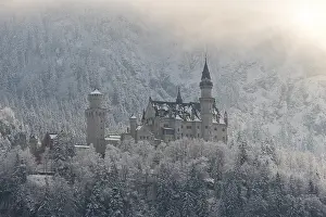 Majestic castle framed by snow-covered trees and mountains