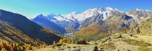 A majestic view of snow-capped peaks over an autumn forest valley