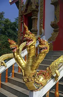 Makara (Sanskrit: मकर) is a sea-creature in Hindu mythology