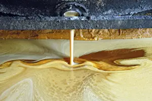Category Historic EN Prints: Making of Jaggery, Kolhapur, Maharashtra, India