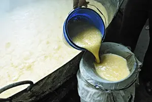 Category Historic EN Prints: Making of Jaggery, Kolhapur, Maharashtra, India
