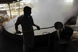Category Historic EN Prints: Making of Jaggery, Kolhapur, Maharashtra, India