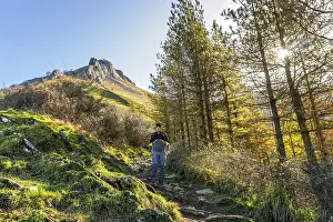 Male hiker walking through trees and vegetation on a mountain trail with txindoki mountain peak in the background