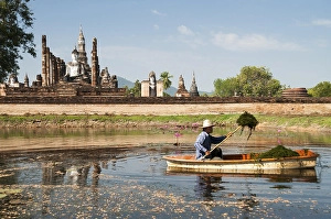 Category Buddhism Prints: Man in a boat working in the pond in front of the seated Buddha statue at Wat Mahathat temple