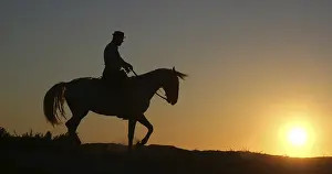 Man on his Camargue Horse at Sunrise