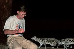 Man with Common Genets (Genetta genetta)