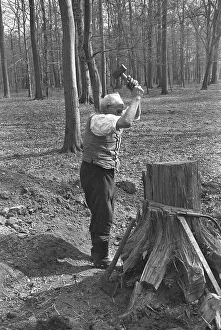 Man cutting up a piece of wood in a forest