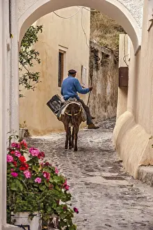 Man On A Donkey Santorini Greece