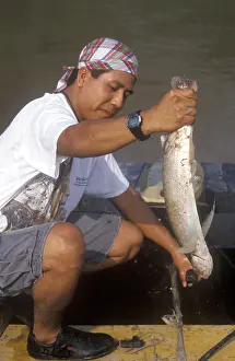 Man keeps a predatory fish caught in the Amazon