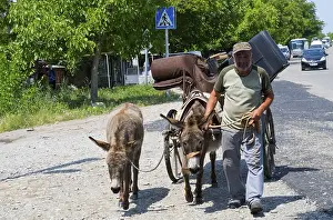 A man leads two donkeys pulling a cart along a rural road