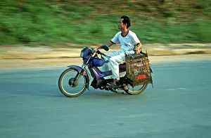 Man on moped holding birdhouses