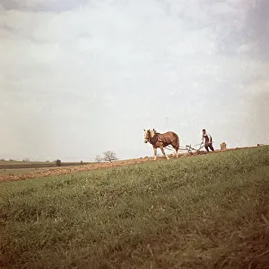 Man ploughs field with strained horse