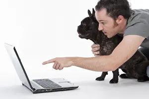 Man showing his French Bulldog something on the laptop