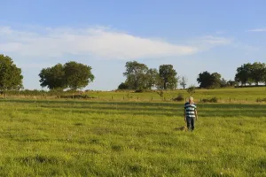 Man walking the dog in landscape with fields and trees