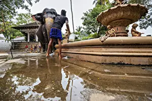Man washes at the temple well with an elephant in a quiet environment