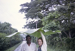 Man and woman sheltering from rain beneath large banana leaf, Trinidad 1963