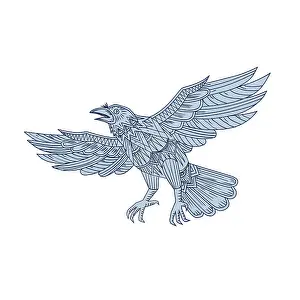 Mandala style illustration of a Crow
