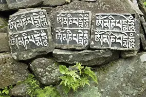 Category Buddhism Prints: Mani wall, Mani stone, Dudh Kosi valley