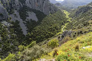 The Manikia Gorge on the island of Euboea or Evia