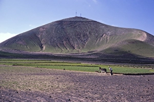Mann pfluegt Land mit einem Esel Subsistenzlandwirtschaft, Lanzarote, Kanarische Inseln, Spanien 1979