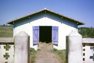 Manure barn on the cattle breeding grounds of the Fazenda Sant Anna estate, Campinas, Brazil, South America 1962, South America