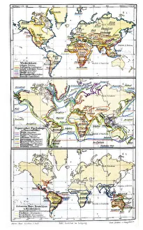 Map, occurrence of mammals, historic image