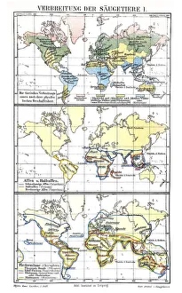 Map, occurrence of mammals I, historic image