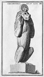 A marble statue of a monkey from the Museum of the Capitol