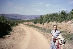 Margaret Folland Road through coffee bushes, Fazenda Sant Anna, Campinas, Brazil, South America 1962, South America