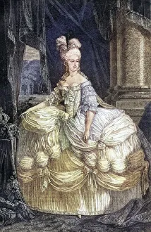 Marie-Antoinette (born 2 November 1755 in Vienna)