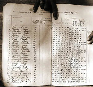 Mark sheet of Mahatma Gandhi, India, Asia, 1885, Asia