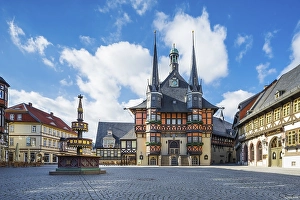 Market place, market fountain and historic town hall