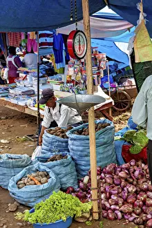 Market scene with vegetable stands