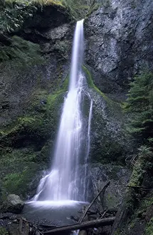 Marymere Falls in Olympic National Park