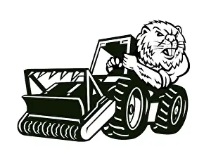 Mascot illustration of head of an angry North American beaver driving a mulching tractor viewed from front front