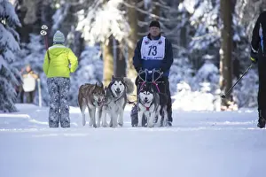 MASSERBERG, GERMANY - FEBRUARY 10: Trans Thuringia 2013