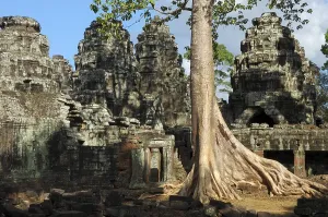 Massive roots growing on the ruins of Banteay Kdei temple