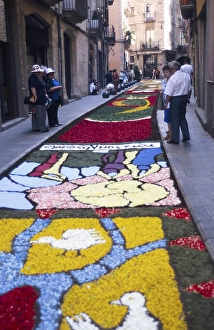 Mat of flowers on the street to celebrate Corpus Christi, Girona, Catalonia, Spain, Europe