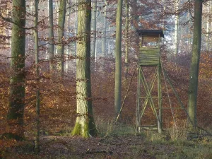 Maulbronn, colourful deciduous forest in autumn